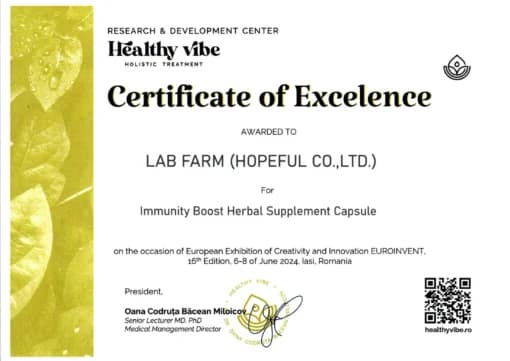 Healthy Vibe — Certificate of Excellence