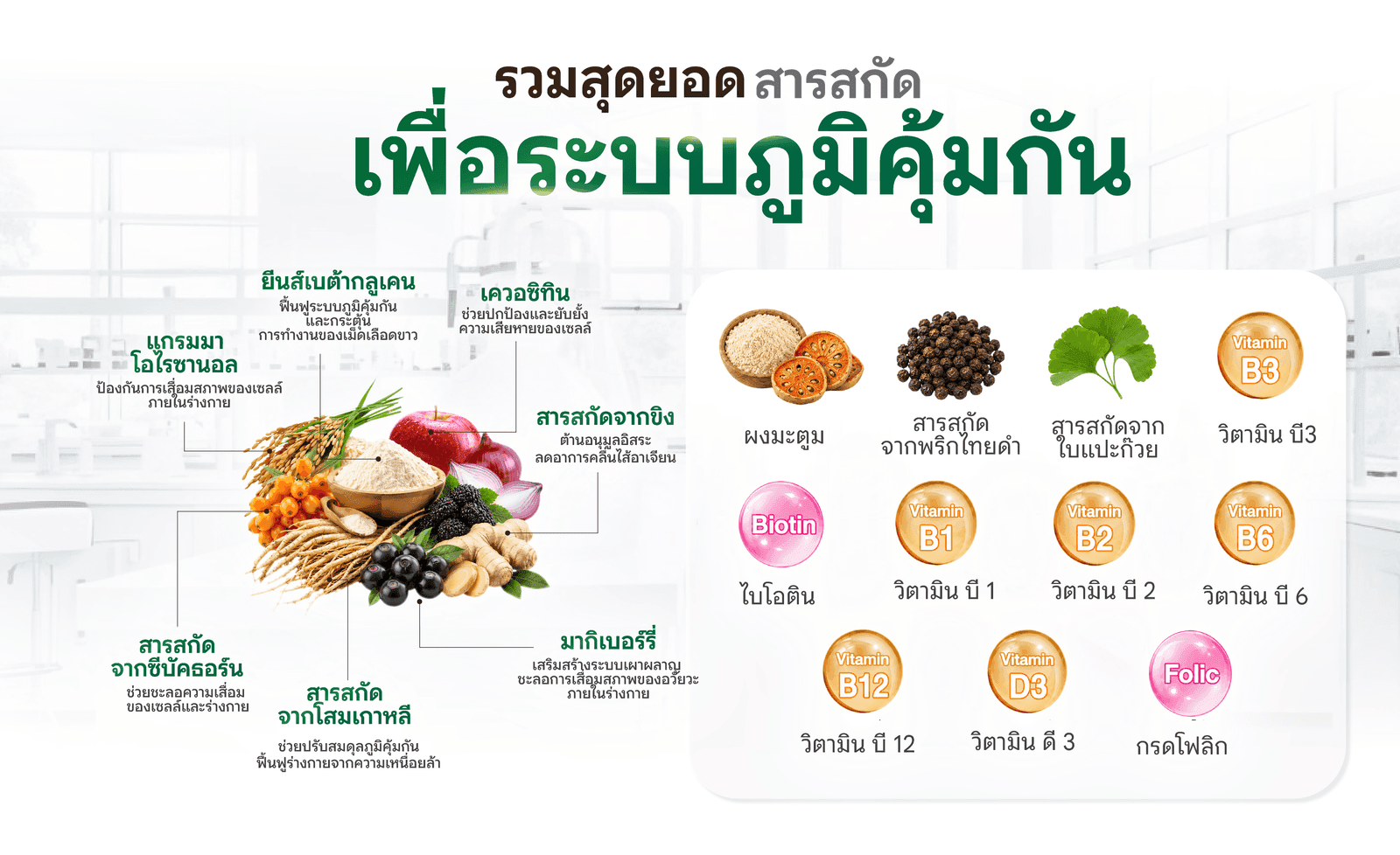 สารสกัดใน LAB FARM Immuneo Plus™