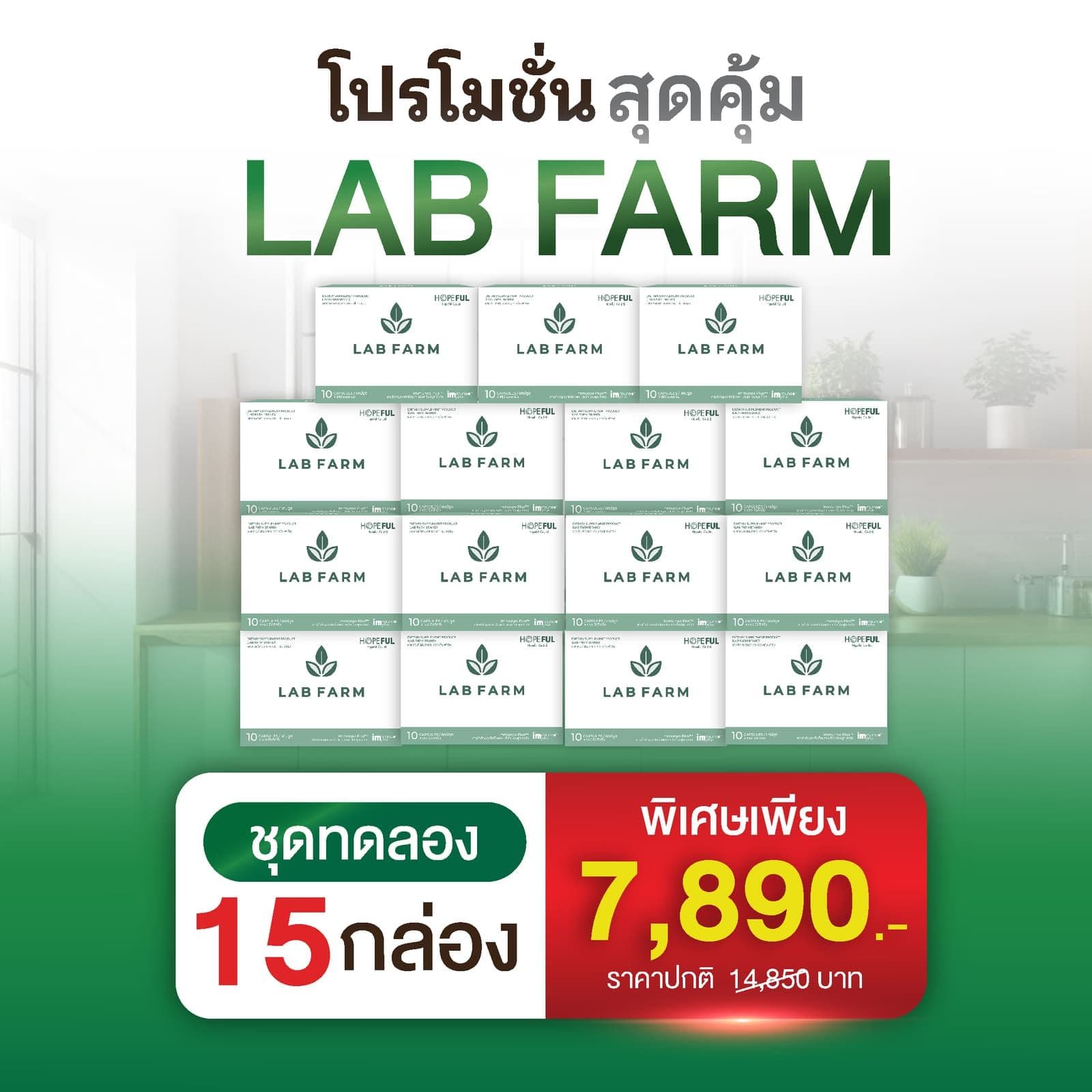 โปรโมชั่น ชุดคุ้มค่า 15 กล่อง