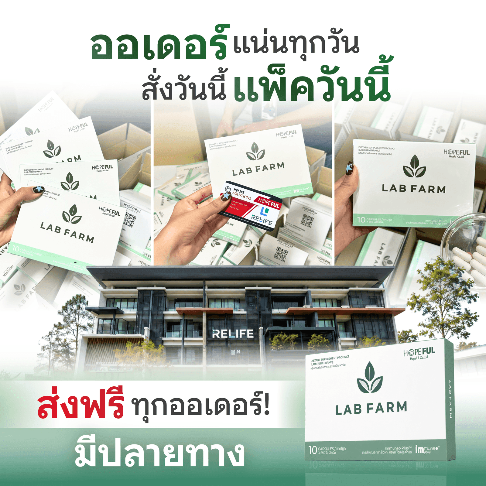 จัดส่งออเดอร์จริงทุกวัน ส่งฟรีทั่วประเทศ